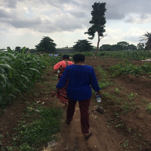 9.On-the-way-to-Chinyere-Ibecheozors-farm-by-JOI-Foundation-team-